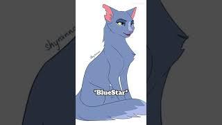 StarClan be like…