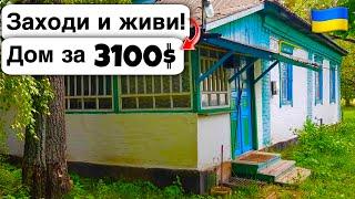  Заходи и живи! Дом в селе за 3100$ Продажа недвижимости за копейки! Всё есть Уютное тихое село!