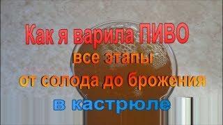 Как я варила ПИВО. От солода до брожения в кастрюле