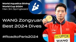 The Unbeatable WANG Zongyuan in 3m Springboard  | Diving