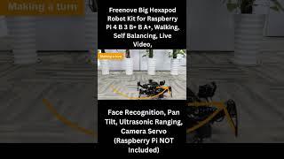 Freenove Big Hexapod Robot Kit for Raspberry Pi 4 B 3 B+ B A+, Walking, Self Balancing, Live Video