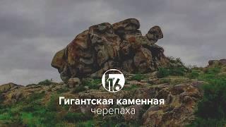 Гигантские каменные черепахи