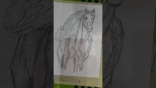 horses||AK talented artist‍