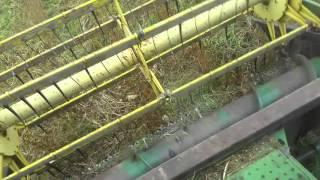 harvesting organic soybeans