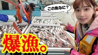 【宮城出張】去年に出会った稚魚が「最高の魚」になっていました。