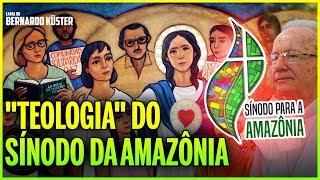 Crítica à "teologia" do Sínodo da Amazônia | Bernardo Küster