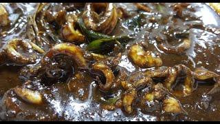 SOTONG MASAK HITAM