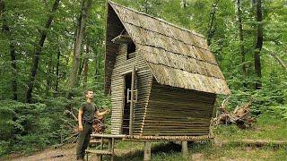 Bushcraft Cabin in the Forest, Fried Mushrooms, Primitive Technology, Life Off Grid