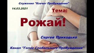 2021.03.14 "РОЖАЙ!" служение "Ковчег Пробуждения"