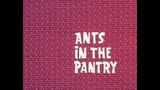 Ant and the Aardvark: ANTS IN THE PANTRY + 2 bumpers (TV version, laugh track)