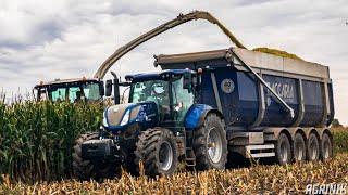 CLAAS JAGUAR 970 | NH T7.245 + ZACCARIA 4 ASSI | Trinciato Mais 2020 | Corn Silage | 4K UHD