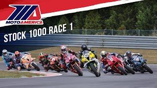 Stock 1000 Race 1 at New Jersey 2024 - FULL RACE | MotoAmerica