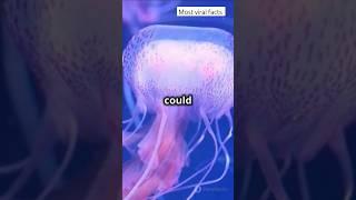 Jelly Fish Remains   #facts #jellyfish #fact #shortsfeed #shorts