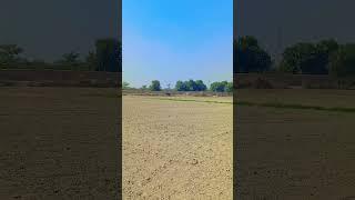 |At Fields Site| Agriculture Sector| Farming in Punjab Pakistan| #shorts#shortsfeed#tranding#viral