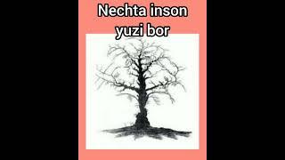 Boshqotirma