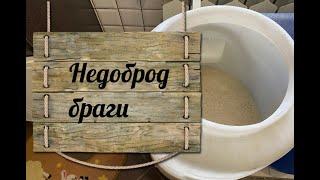 Недоброд браги что делать . Реанимация дрожжей.