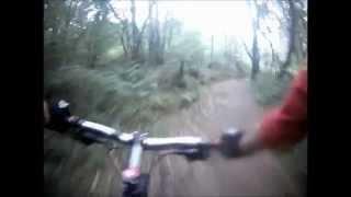 canaston wood s