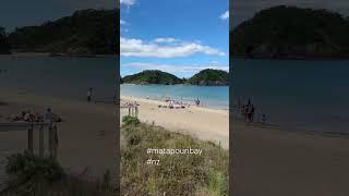 #beach #beachvibes #summer #summervibes #youtubeshorts #nz #subscribe #thanksforwatching