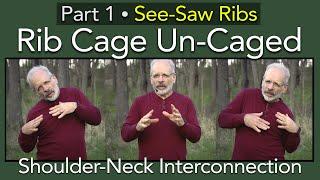 RIB CAGE Un-Caged | Part 1 See Saw Ribs | Restore SUPPLE BREATHING space | Somatics to Free yourself