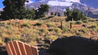 Things to do while staying at Timberline Lodge.