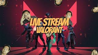 CHILLIN UNRED VALO