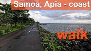 [4K] Walk - Samoa, Apia - Walk along the coast