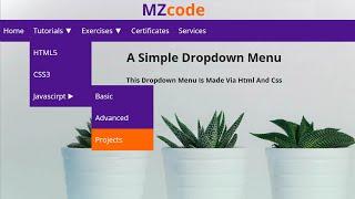 How To Make Drop Down Menu Using HTML CSS | Project 2024 in Hindi #css #html #coding #webdevelopment