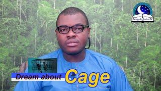 DREAM ABOUT CAGE I Evangelist Joshua Dream Dictionary I