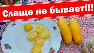 Самый сладкий, самый устойчивый, самый желтый томат сезона 2019