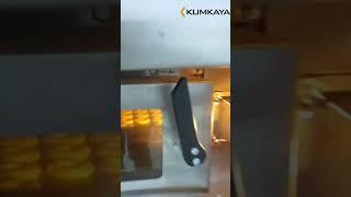 Туннельная хлебопекарная печь КУМКАЯ