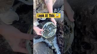 You Won’t Believe What We Found!  #animals #nature