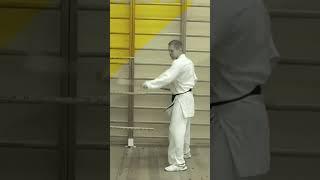 #shorts #кобудо #kobudo #kobudodemonstration #kobudominsk #kobudoweapons #okinawakobudo #кобудоминск