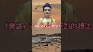 因果與業識