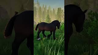 His fate #horses #starstable