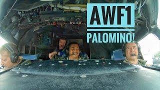 Today we highlight another P-3 Flight Engineer, AWF1 Ruben Palomino!