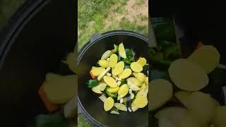Uzbek Dimlama in a Minute | Quick Central Asian Stew