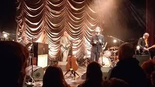 The Divine Comedy - The Best Mistakes (live @Gloria Theater Köln)