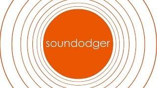 Soundodger+ Gameplay