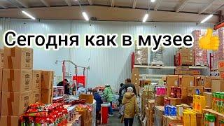 СВЕТОФОР СЕГОДНЯ КАК В МУЗЕЕ ГОРЫ НОВИНОК в Выходной Обзор Октябрь 2024