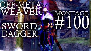 Roaming Weaver Sword/D (Fire/Air) + (Water/Air) WvW Off Meta // Elementalist Montage #100