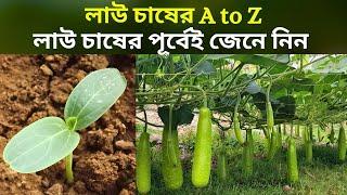 লাউ চাষের  (A to Z) | Growing (Bottle gourd) A to Z Information | lau chas