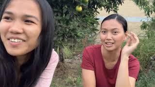 PINAY IN AUSTRALIA | AT THE BACKYARD 