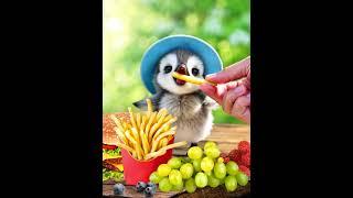 Baby Penguin picnic with mama  #cute #babypenguin