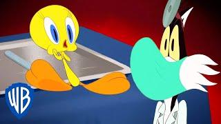 Looney Tunes in italiano  | Titti dal Dottore  |  WB Kids