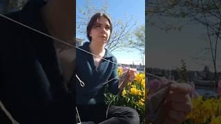 knitting by the tulips  #jazz #music #knitting