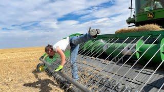 Bulldozing Wheat & Gymnastics! Montana Farming 2022