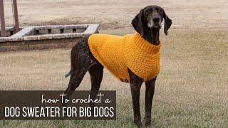 Easy Crochet Dog Sweater for Large, XL, and XXL Dogs