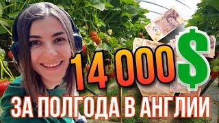 Сколько ДЕНЕГ я заработала НА ФЕРМЕ в АНГЛИИ? Мой итог за 6 месяцев!!! Кто ждал - держите! 