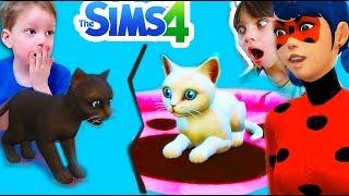 БЕЗДОМНЫЙ и БОГАТЫЙ КОТЕНОК SIMS 4 История ЛУНОМОСИКА СИМС 4 БЕЗДОМНЫЙ КОТЕНОК для детей Валеришка