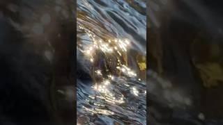 Nature’s Lullaby, Tranquil Creek Sounds for Deep Sleep and Relaxation